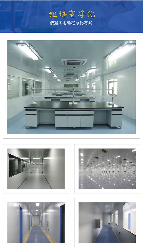 貴州與廣西組培技術交流 攜手推進區域農業創新發展